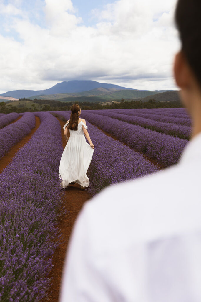 Romantic lavender farm proposal